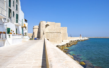 Naklejka premium The architectures and colors of Monopoli