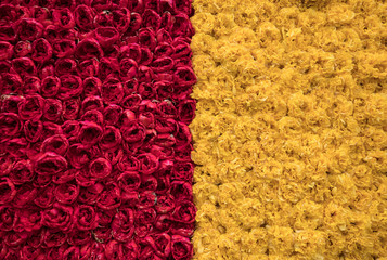 Abstract background . Close-up of red and yellow tulips flowers
