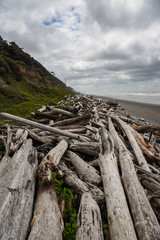 Fototapeta na wymiar Scattered driftwood on the beach along Washington's Olympic Coast