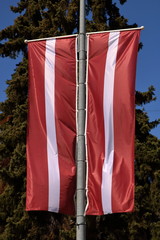National flag of Latvia hangs vertically on pole, in background green tree and blue sky © Wioletta