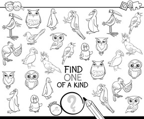one of a kind game with birds coloring book