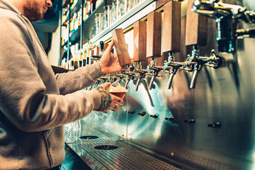 Hand of bartender pouring a large lager beer in tap.