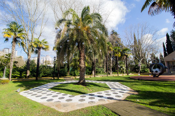 Obraz premium palm tree decorated with football balls,Sochi,Russia