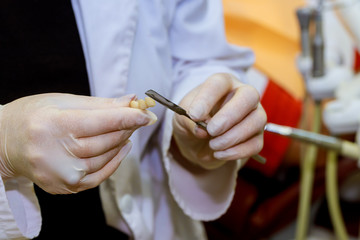 Close up photo of dentist's hands holding dental tools.
