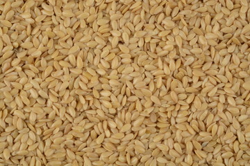 Lino dorado, composición como fondo