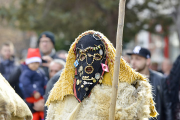   A 'Mechkari' performer participates in the carnival Prochka   in the Macedonian town of Prilep. '
