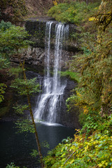 Trickling spring waterfall in Oregon