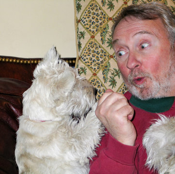 Man Plays And Talks With Westie Dog With Funny Look On His Face