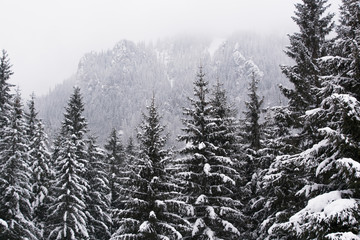 Obrazy na Szkle  Zima w Tatrach