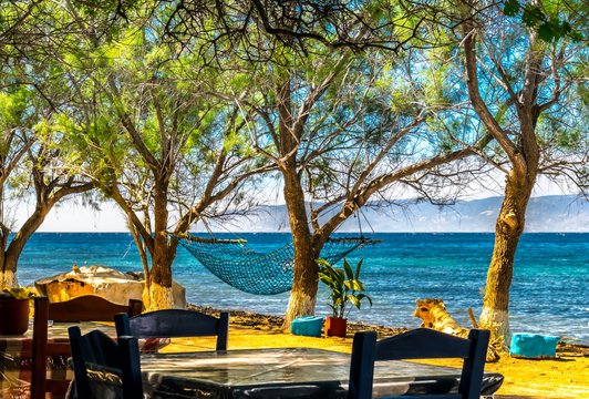 Island of Lesbos. A beautiful place to eat and rest in a hammock on the island of Lebos in Greece with views over the sea to the coasts of Turkey.
