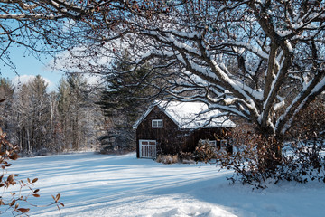 Shed View