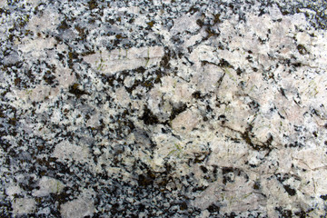 Ghiandone granite rock orthoclase crystals in detail