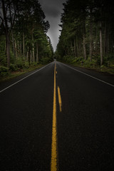 Fototapeta na wymiar dark long road surrounded by trees