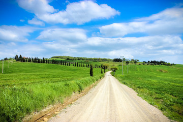 Fototapeta na wymiar Tuscan Country Road