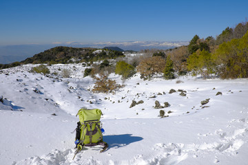 Winter Landscape In Etna Park, Sicily