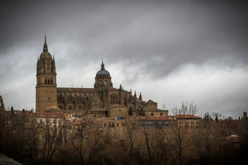 Fototapeta na wymiar Catedral en Salamanca, Castilla y León, España