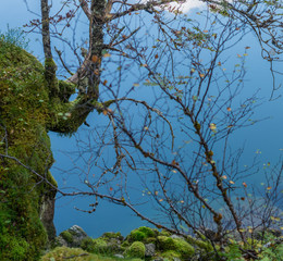 Blue lake water veiw