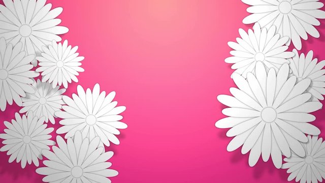 White flower animated with shadows on pink background.