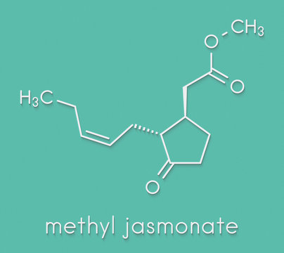 Methyl jasmonate plant stress signal molecule. Skeletal formula.