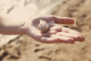 Ракушка в женской ладони на фоне моря.