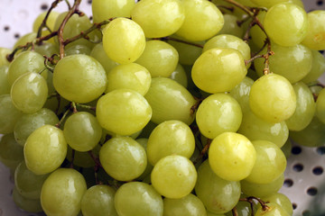 Fresh wine grapes.