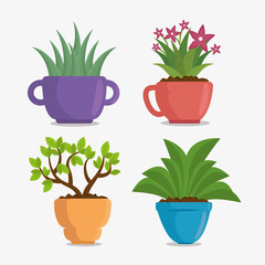 cute houseplant in pot vector illustration design