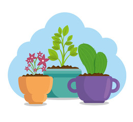 cute houseplant in pot vector illustration design