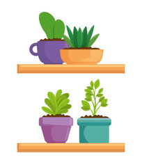 cute houseplant in pot vector illustration design