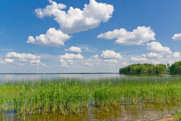 Lake, clouds and sky. Belarus, summer