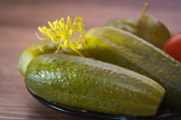 Pickled cucumbers with dill on a beautiful plate. Decorative background. Food, snack