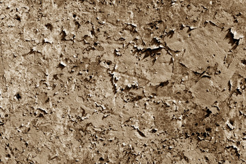 Grungy cement wall texture in brown color.