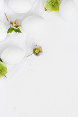 Easter white background eggs flowers