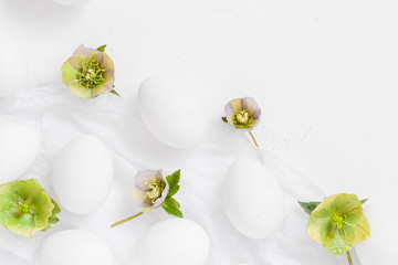 Easter white background eggs flowers