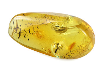 Baltic amber with ant and beetle isolated on white background