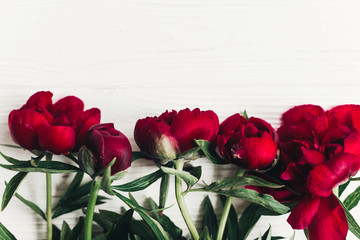 beautiful red peonies blooming bouquet on white wooden rustic background, flat lay. greeting card with space for text. hello spring. happy womens day. blooming flowers top view