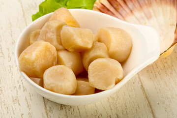 Raw scallops heap