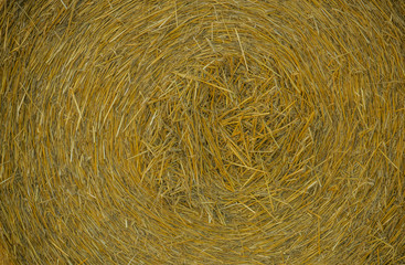 Hay background as front view of bale