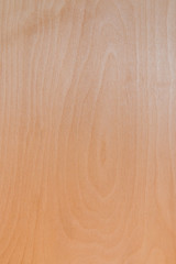 surface of plywood with real pattern