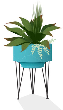 Houseplant mix in a mid-century modern planter isolated with cast shadow.