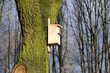 Budka lęgowa dla ptaków na starym drzewie