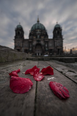 Rosenblätter vor dem Berliner Dom © Mulinarius