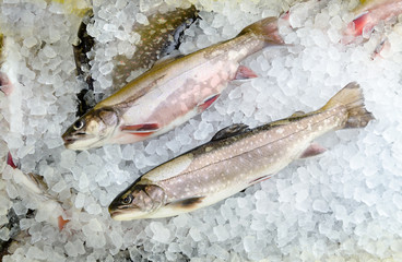 Räucherfisch Fisch geraucht geräuchert smoked fish