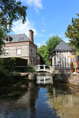 Obraz premium veule les rose