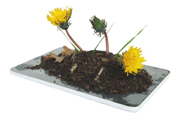 Tablet obsoleto e deitado fora com terra e flores, vaso acidental num tablet, reciclagem de...