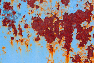 Background, old metal wall close-up. Rusty, blue background of metal.
