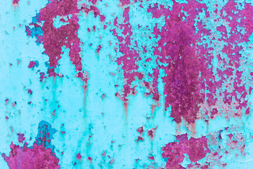 Background, old metal wall close-up. Turquoise pink background.