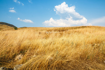 Field full of yellow grass and rocks on it sunny autumn day - obrazy, fototapety, plakaty