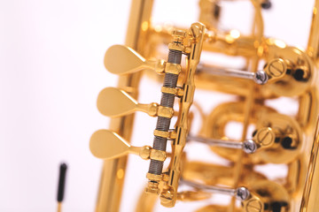 A part of a gold plated rotary trumpet on a white background