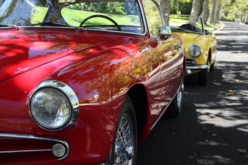 Red and Yellow Vintage Cars