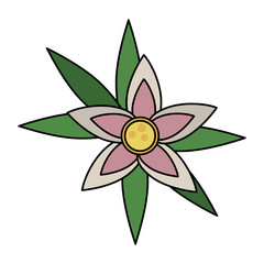 Beautiful flower isolated icon vector illustration graphic design
